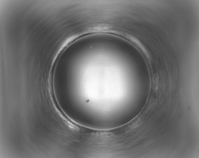 X0000061151432200511181222