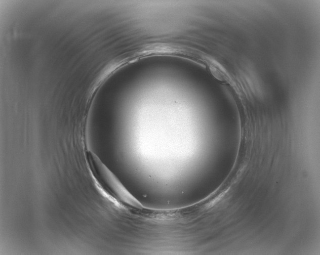 X0000061151433200511181222