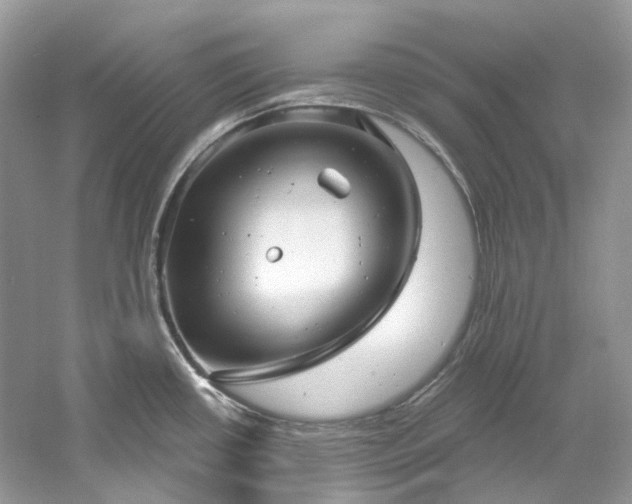 X0000061151434200511181222