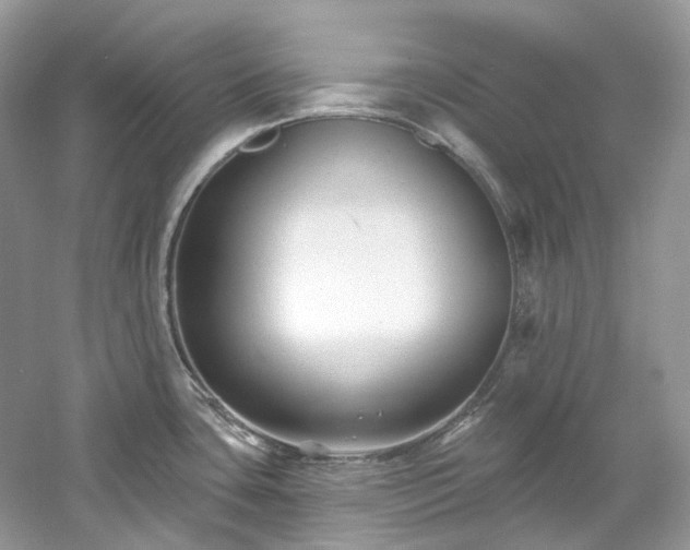 X0000061151435200511181222