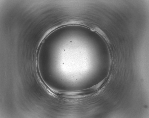 X0000061151436200511181222