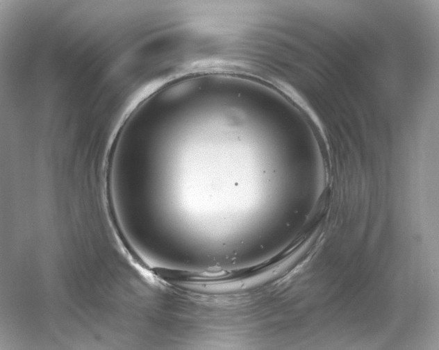 X0000061151437200511181222