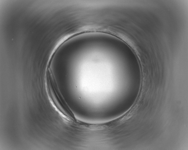 X0000061151440200511181223