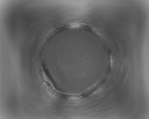 X0000061151441200511181222