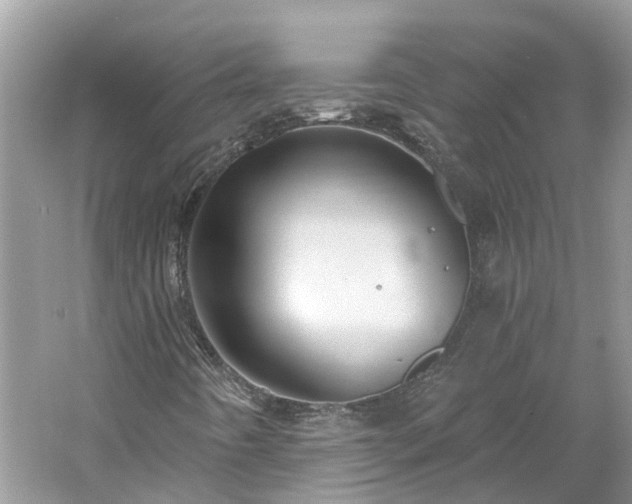 X0000061151442200511181222