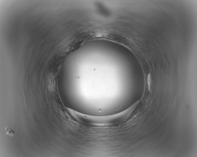 X0000061151443200511181222