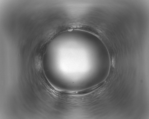 X0000061151444200511181222