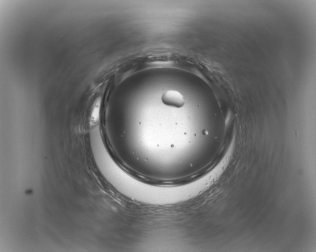 X0000061151445200511181222