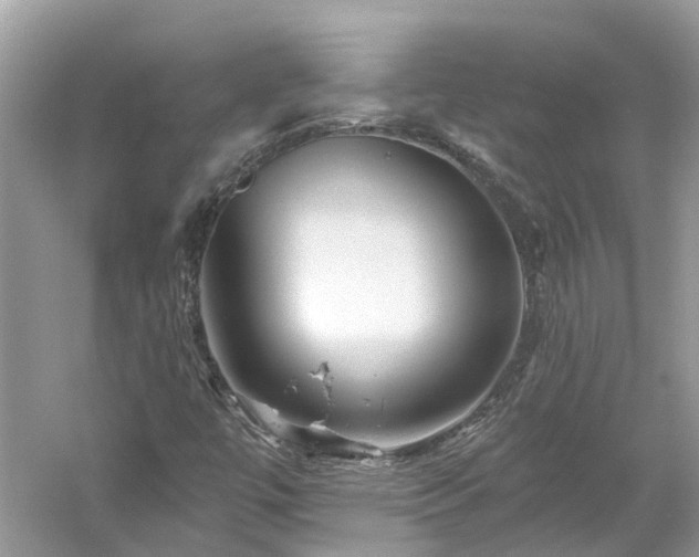 X0000061151447200511181222