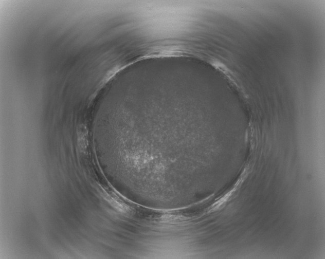 X0000061151449200511181222