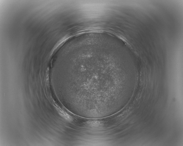 X0000061151450200511181222