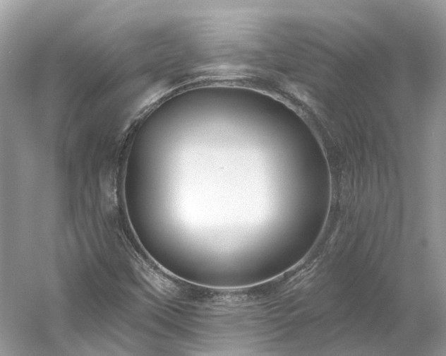 X0000061151451200511181222