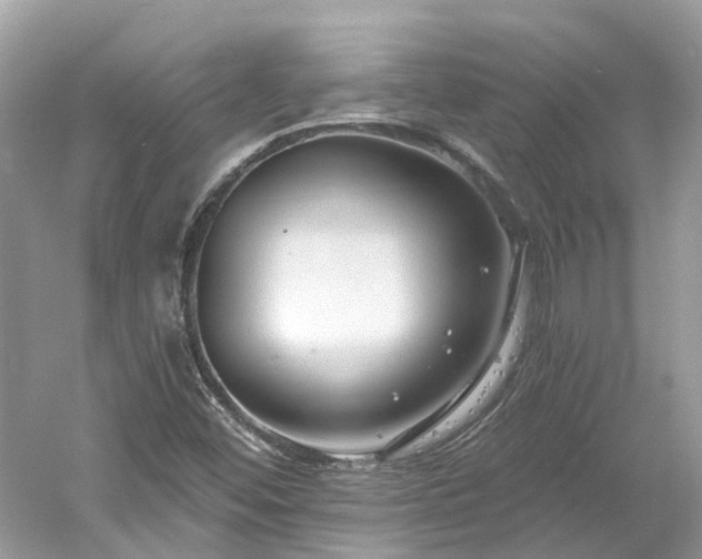 X0000061151452200511181222