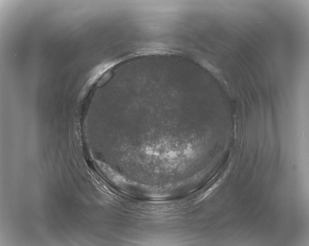 X0000061151453200511181221