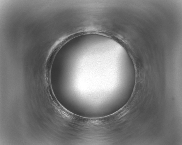 X0000061151454200511181221