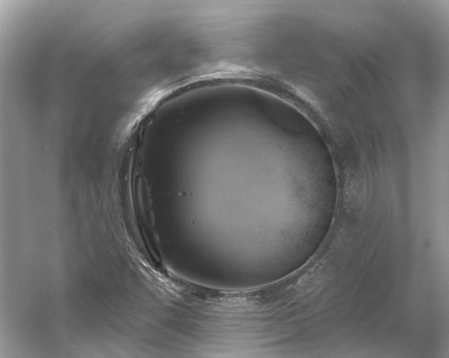 X0000061151455200511181221