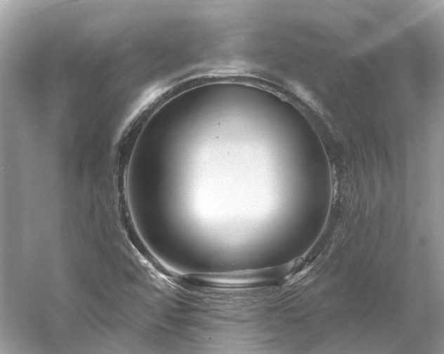 X0000061151456200511181221