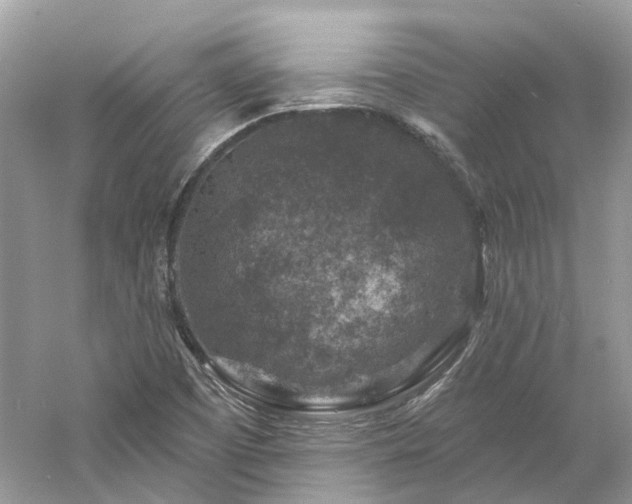 X0000061151457200511181221