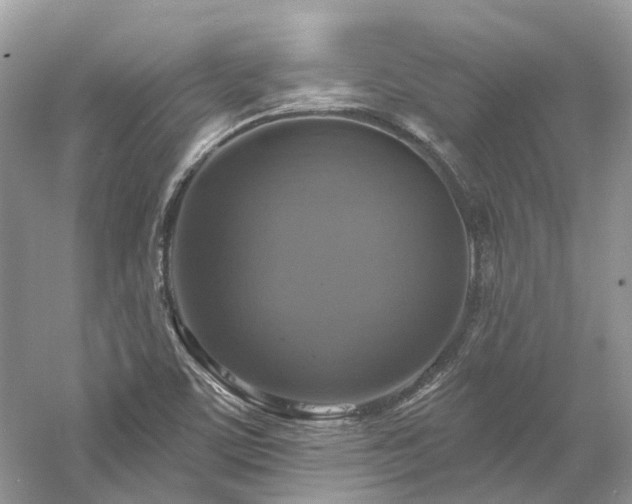 X0000061151459200511181221