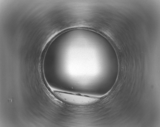 X0000061151460200511181221