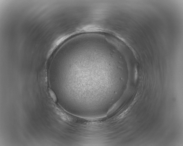 X0000061151461200511181221