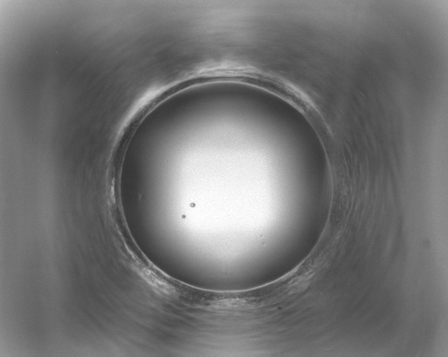 X0000061151462200511181221