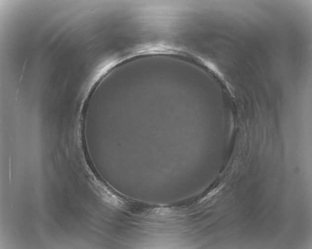 X0000061151463200511181221