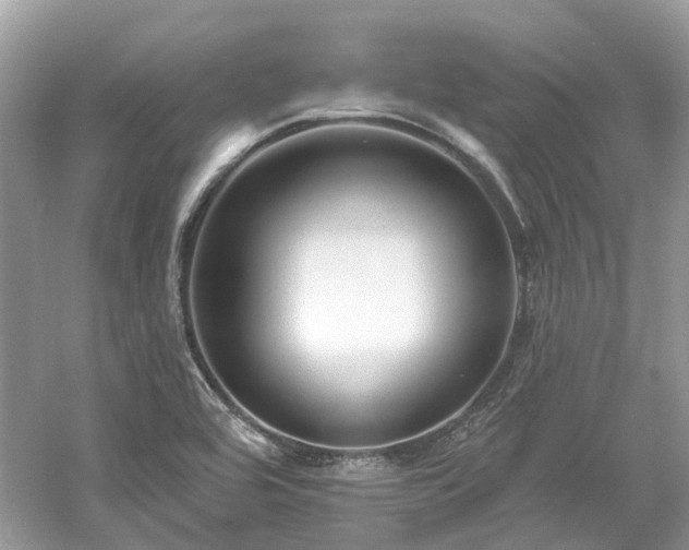 X0000061151464200511181221