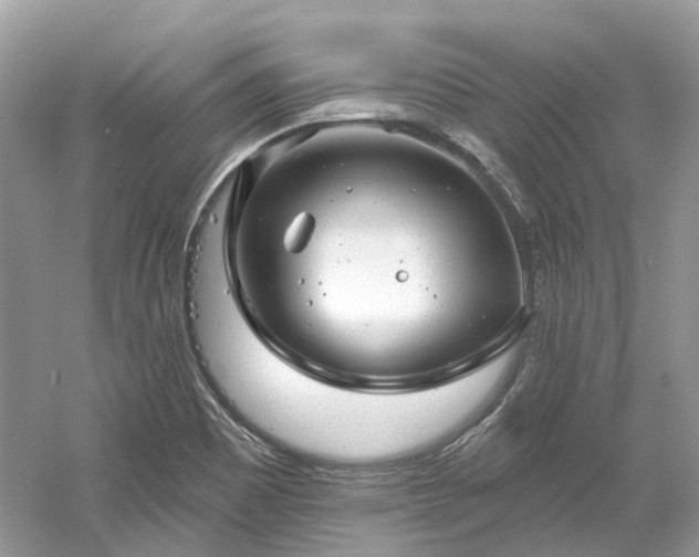 X0000061151465200511181221