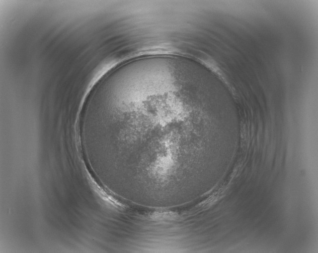 X0000061151466200511181221