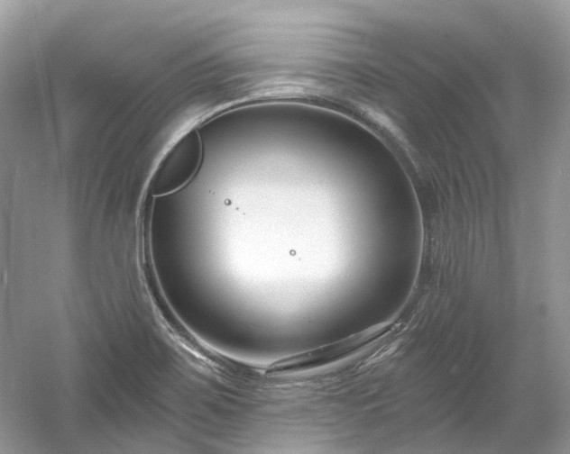 X0000061151467200511181221