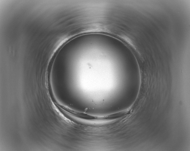 X0000061151468200511181221