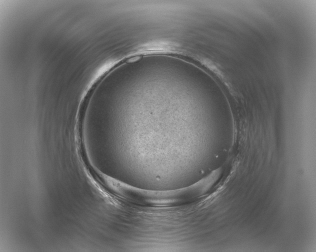 X0000061151469200511181221