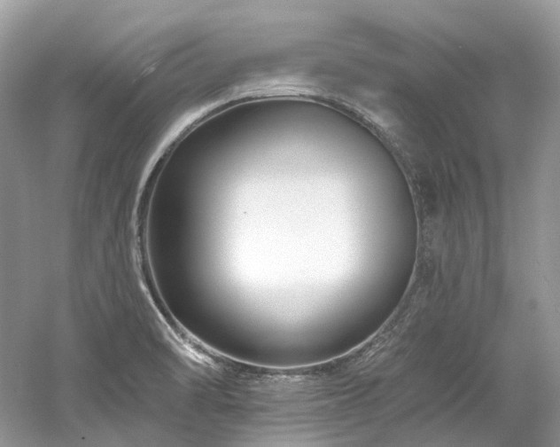 X0000061151470200511181221