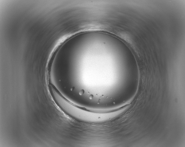 X0000061151472200511181221