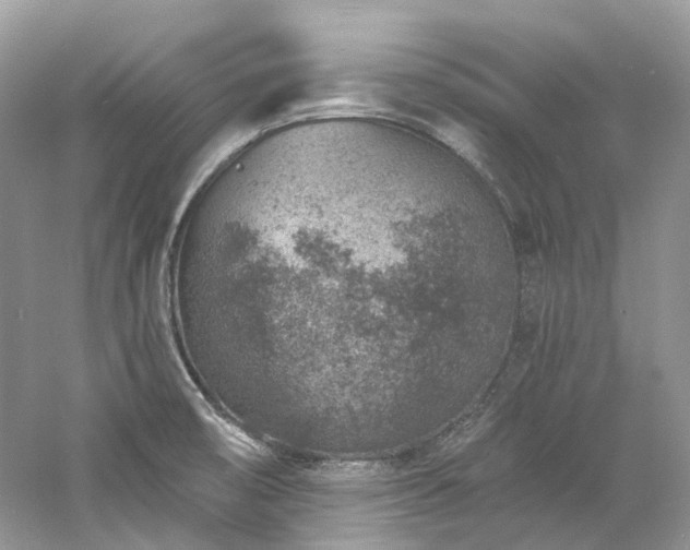 X0000061151474200511181221