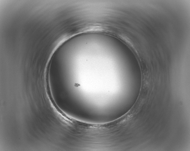 X0000061151475200511181221