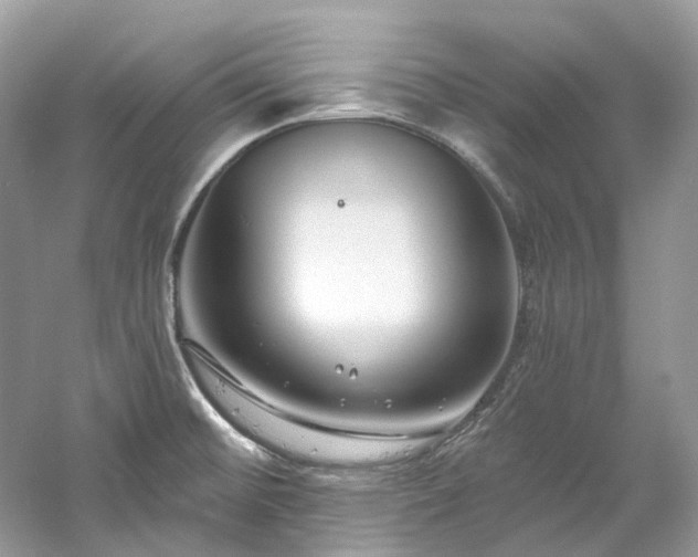 X0000061151476200511181221