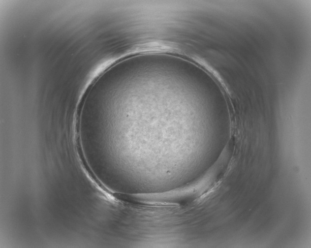 X0000061151477200511181221