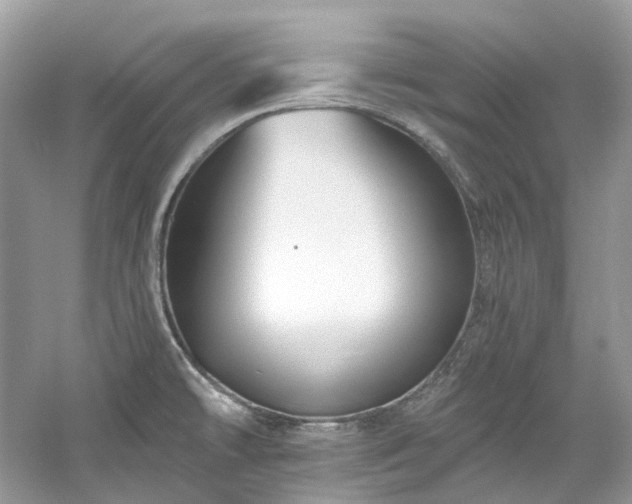 X0000061151478200511181221