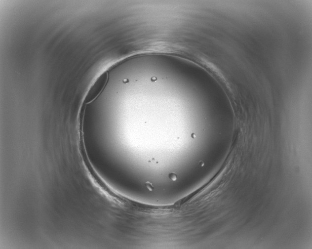 X0000061151479200511181221