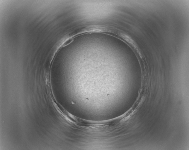 X0000061151481200511181221