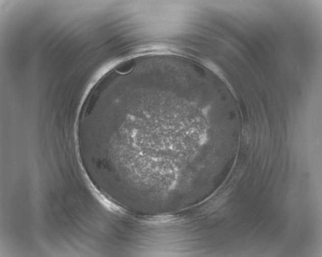 X0000061151482200511181221