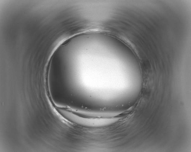 X0000061151483200511181221