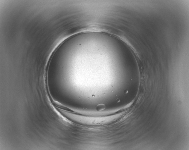 X0000061151484200511181221