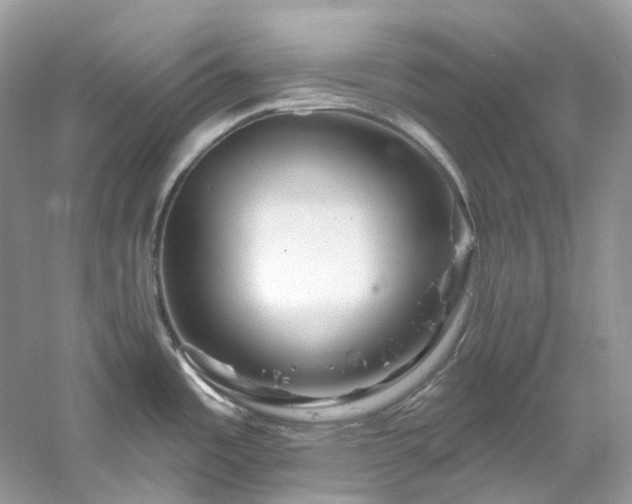 X0000061151485200511181221