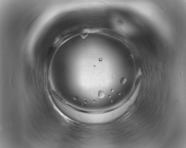 X0000061151487200511181221