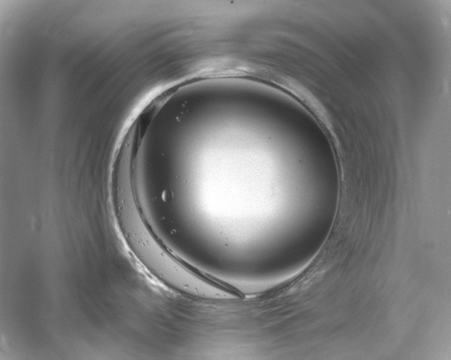 X0000061151488200511181221