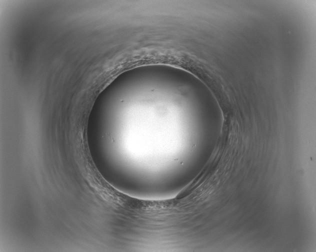 X0000061151489200511181220