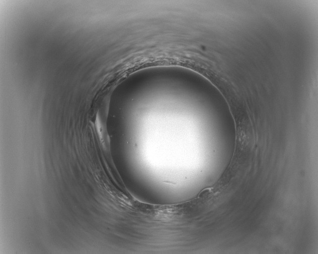 X0000061151490200511181220